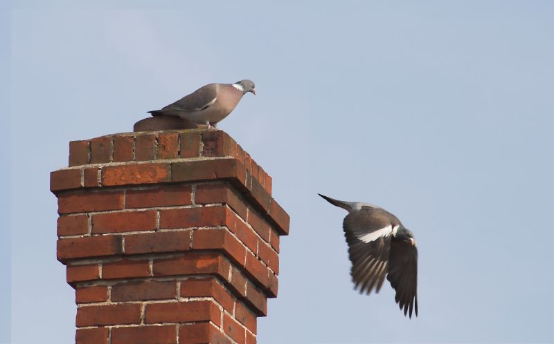 Cost of Chimney Removal — Cost of Chimney Removal